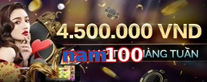 nam100