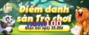 nam100